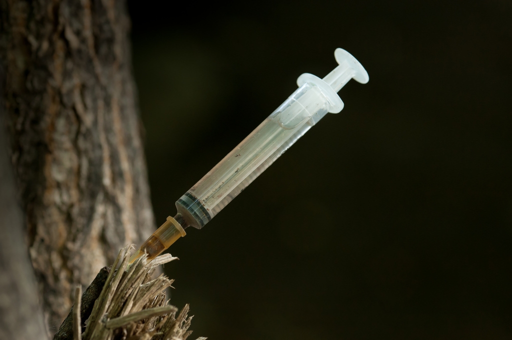 a photo of a syringe