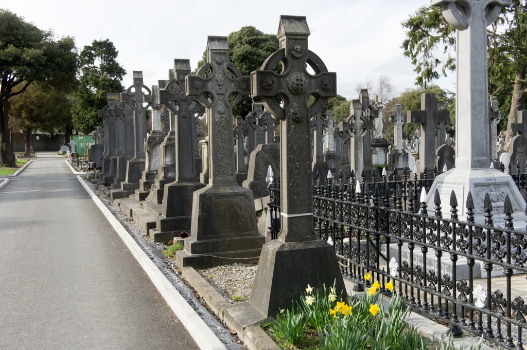 A Grave yard