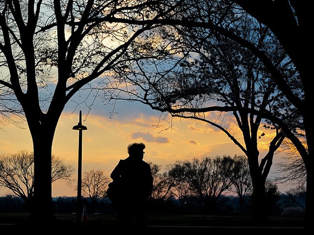 Image of woman in a DC park.