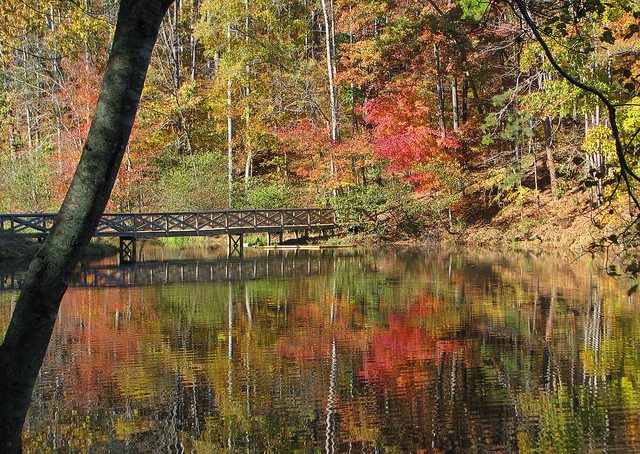 Image of a lake with fall color trees surrounding it.