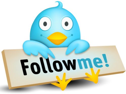 Illustration of the Twitter bird holding a sign that reads "Follow Me!"