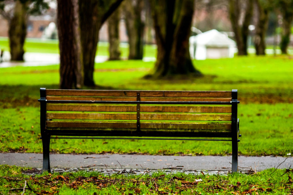 A photo of a park bench.