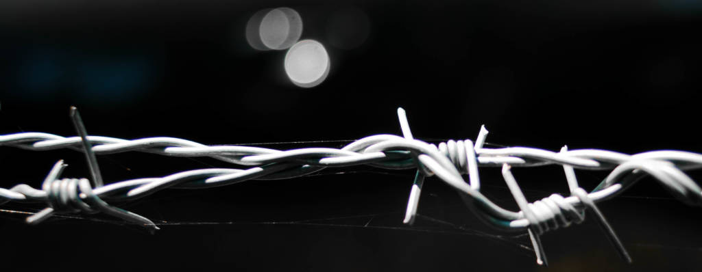 A photo of barbed wire.