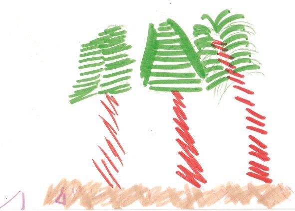 A drawing of several trees.