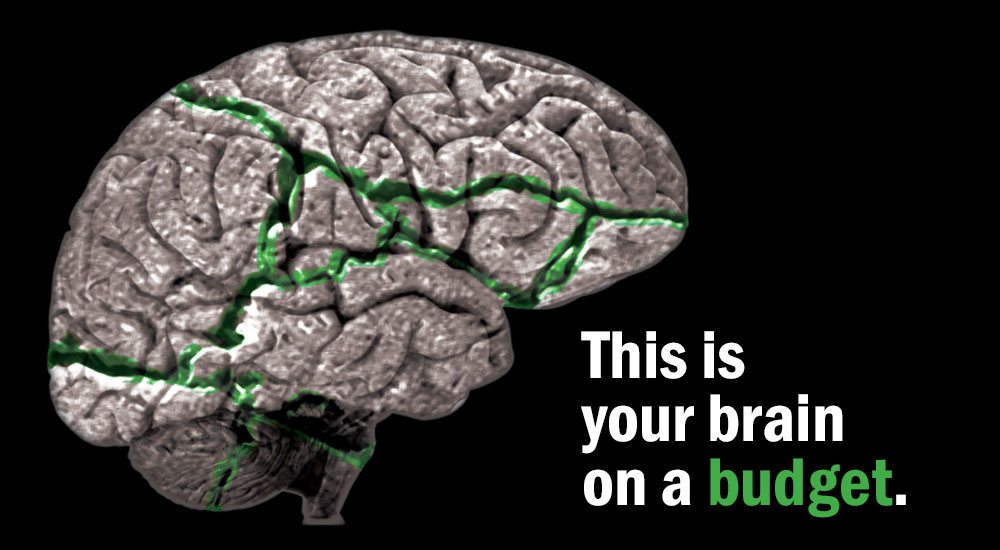 image of a brain with green fractured cracks running through it. Text says" This is your brain on a budget."