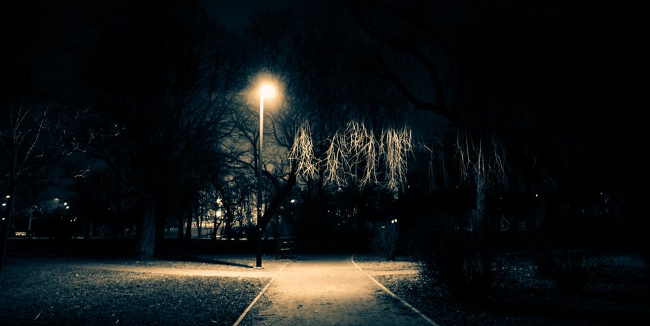 Image of lamppost in a dark park at night.