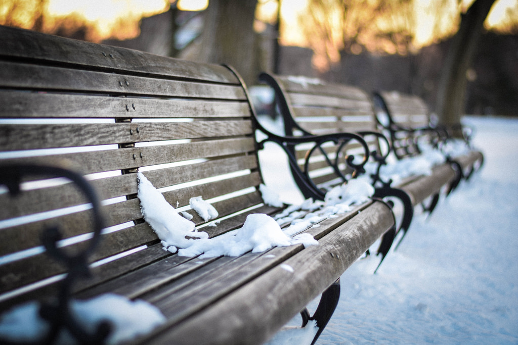 Snowy benches in D.C.