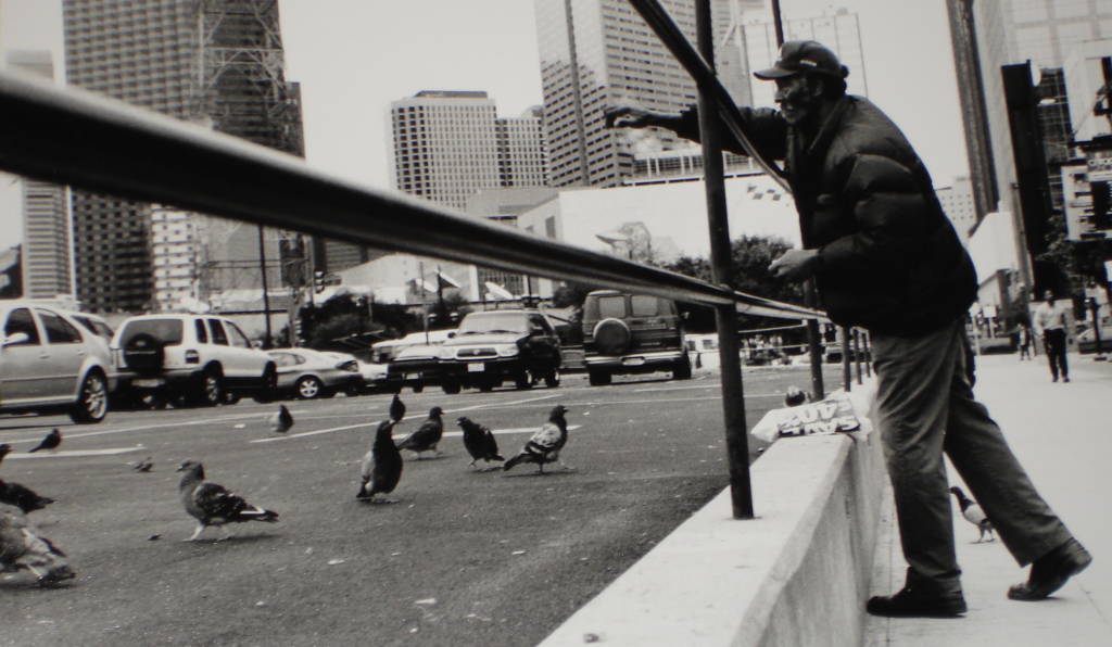 Photo of homeless man feeding a flock of pigeons.