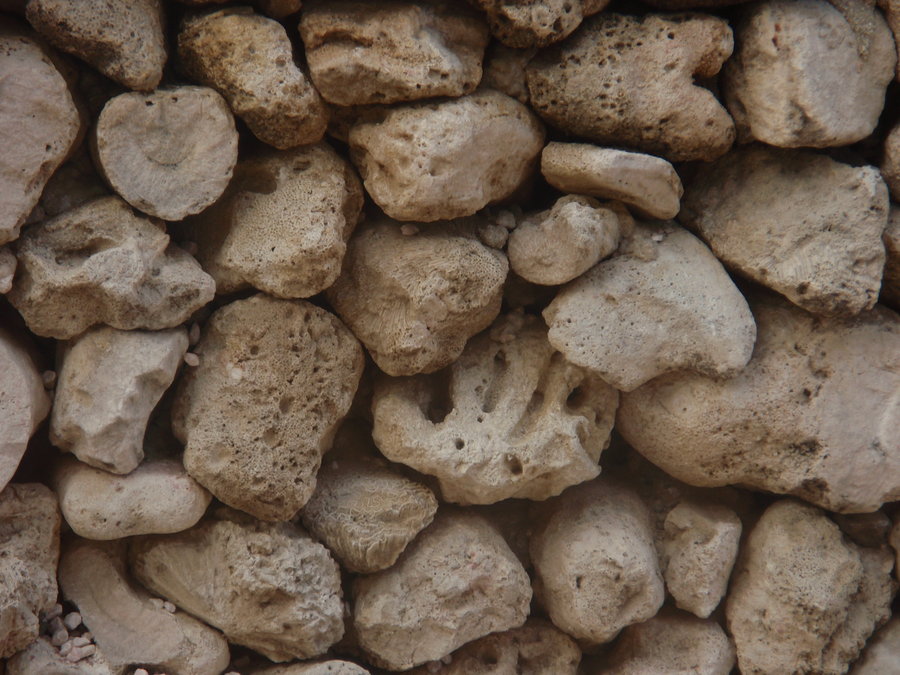 A photograph of a mass of brown rocks.