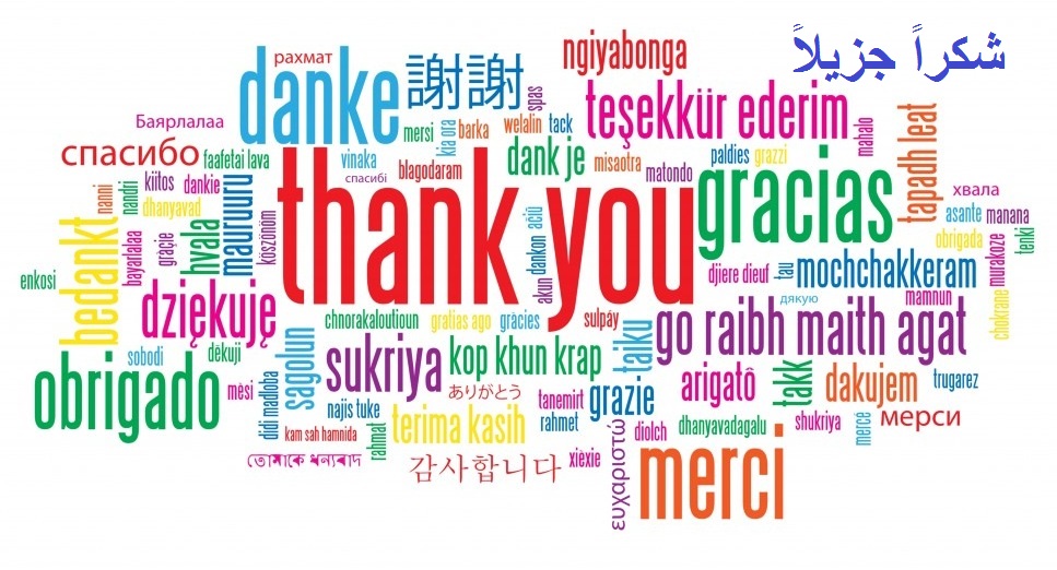 An illustration of the words "Thank You" in various colors, languages, and sizes.