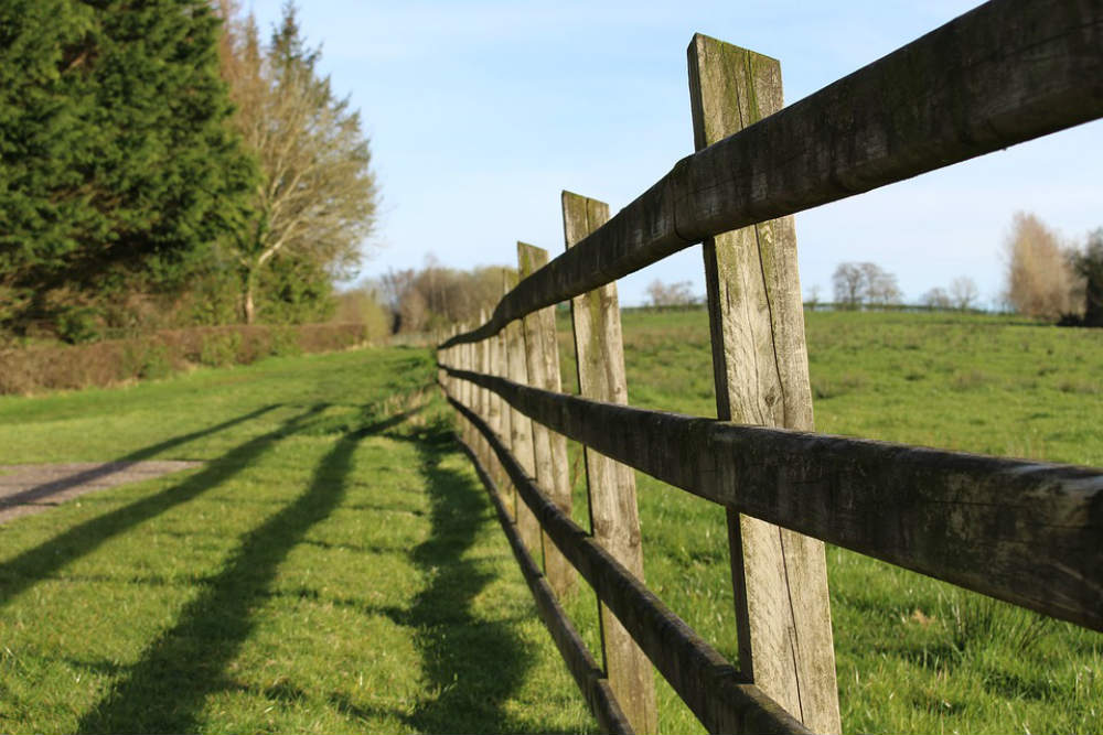 Color photo, a wooden fence casts its shadow on a grassy path
