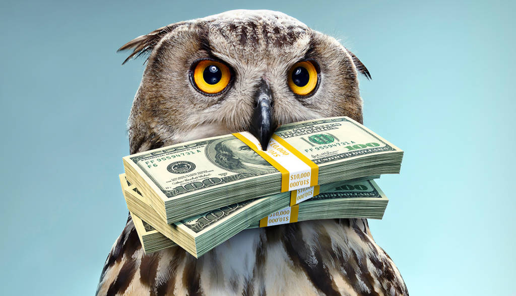 A picture of an owl with money in its beak.