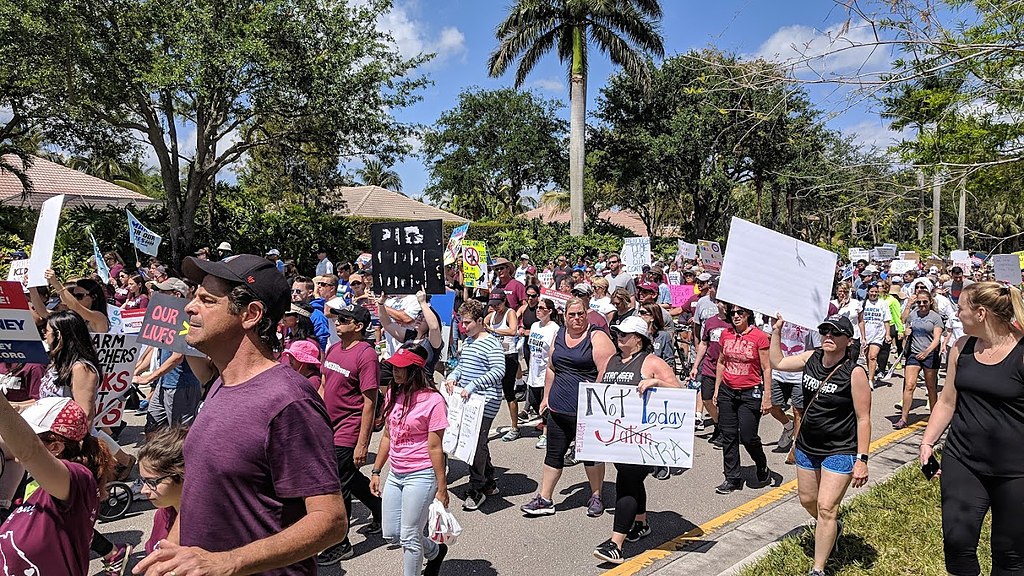 people march in support of gun restrictions