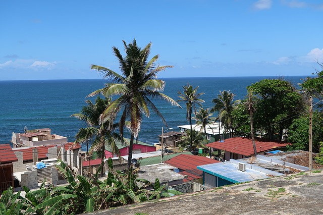 Image of trees and houses by the ocean. Located in Puerto Rico