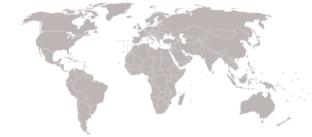 A map of the world with countries outlined and filled in in gray