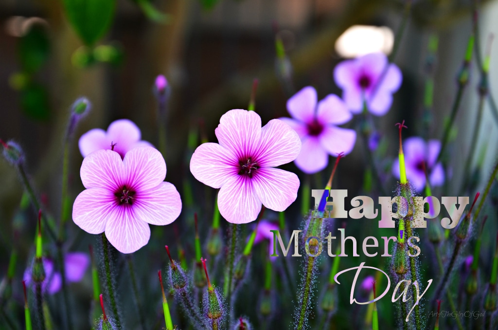 Photo of light purple flowers and the test "Happy Mother's Day"