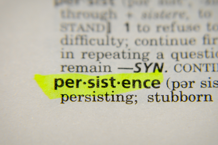 Photo of the word persistence highlighted