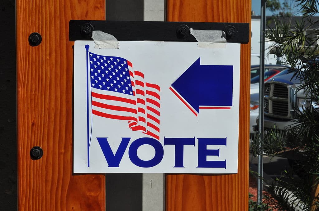 A white sign with a flag and an arrow reads "vote."