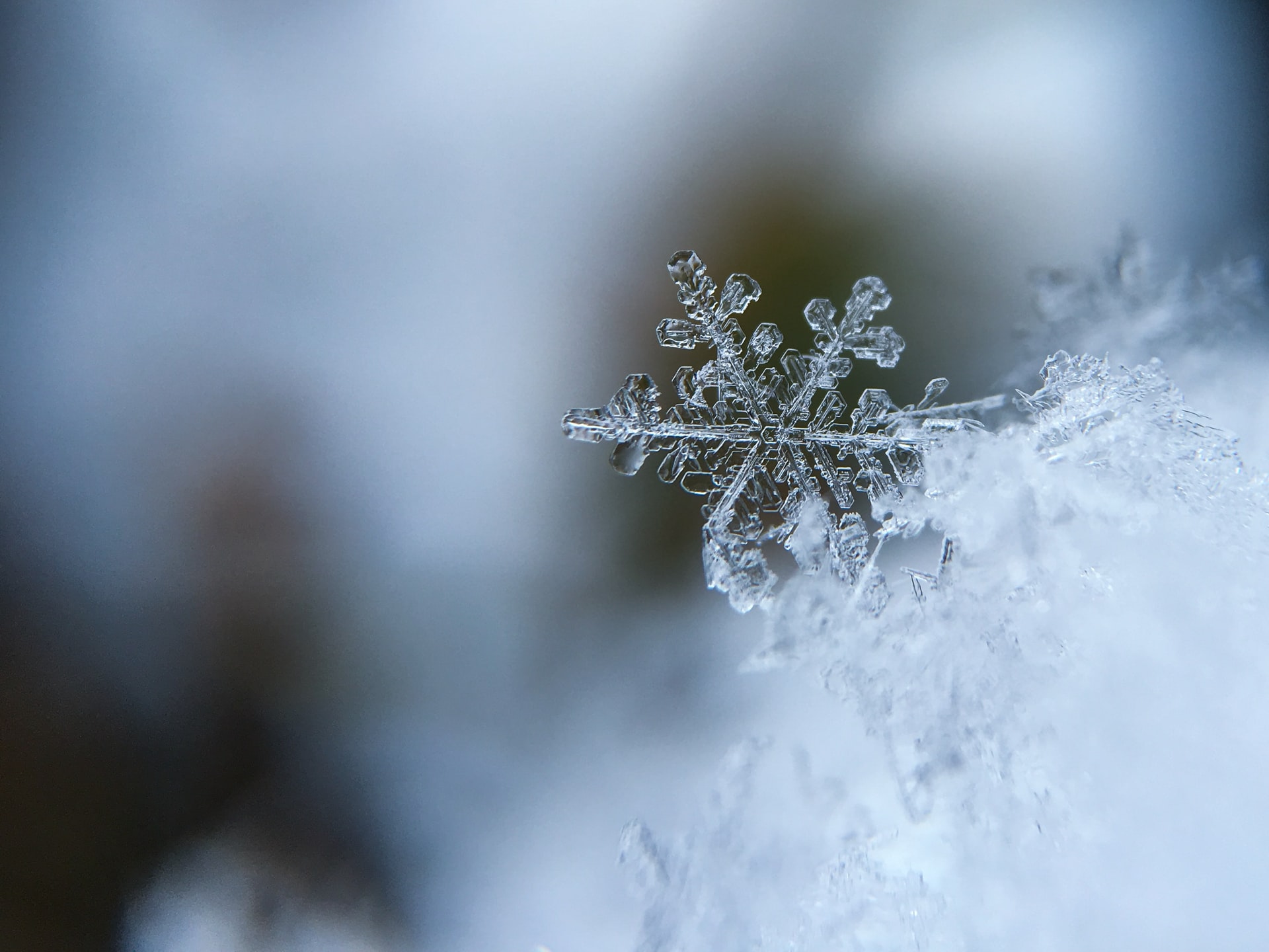 A single snowflake in front of a white blurry background.