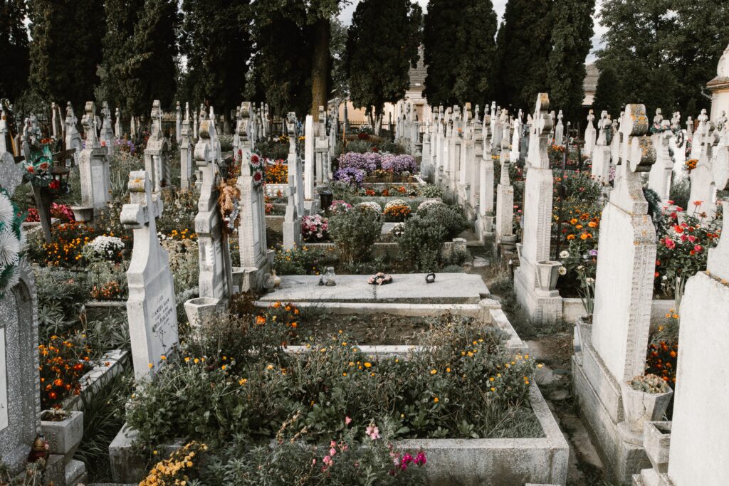 A row of graves in a cemetary.