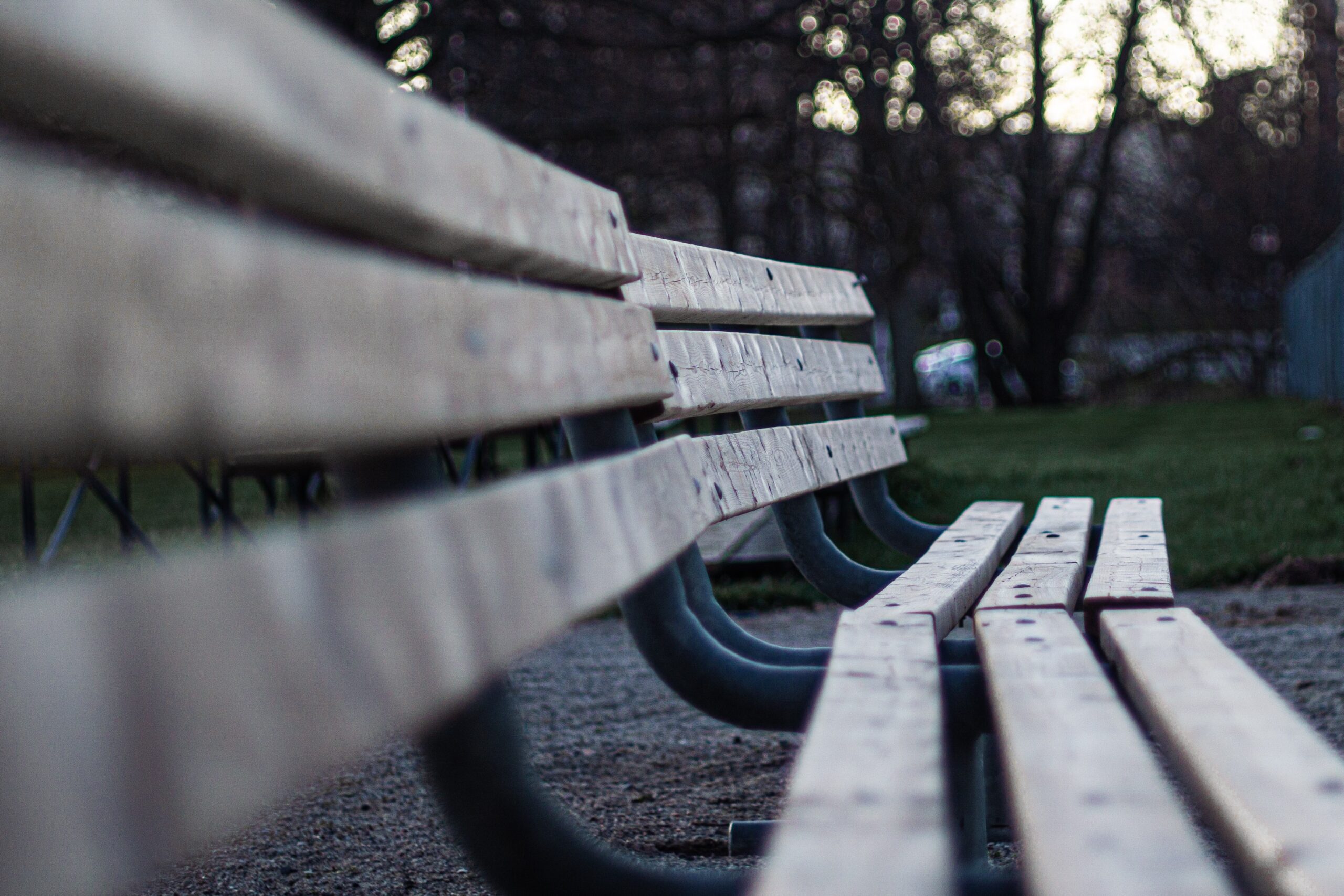 An angles shot of two benches in a park.