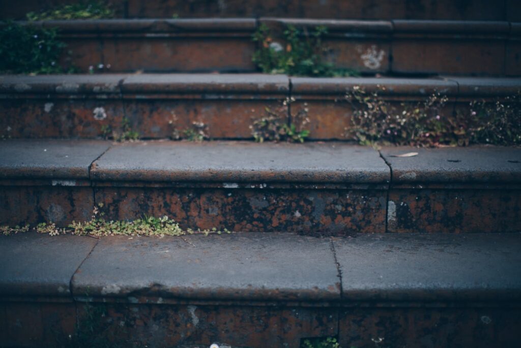 Small weeds grow between three gray stone steps.