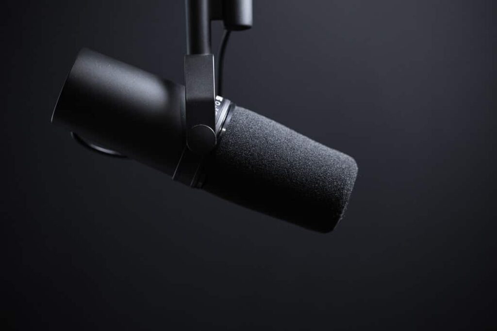 A photo of a microphone in a recording booth