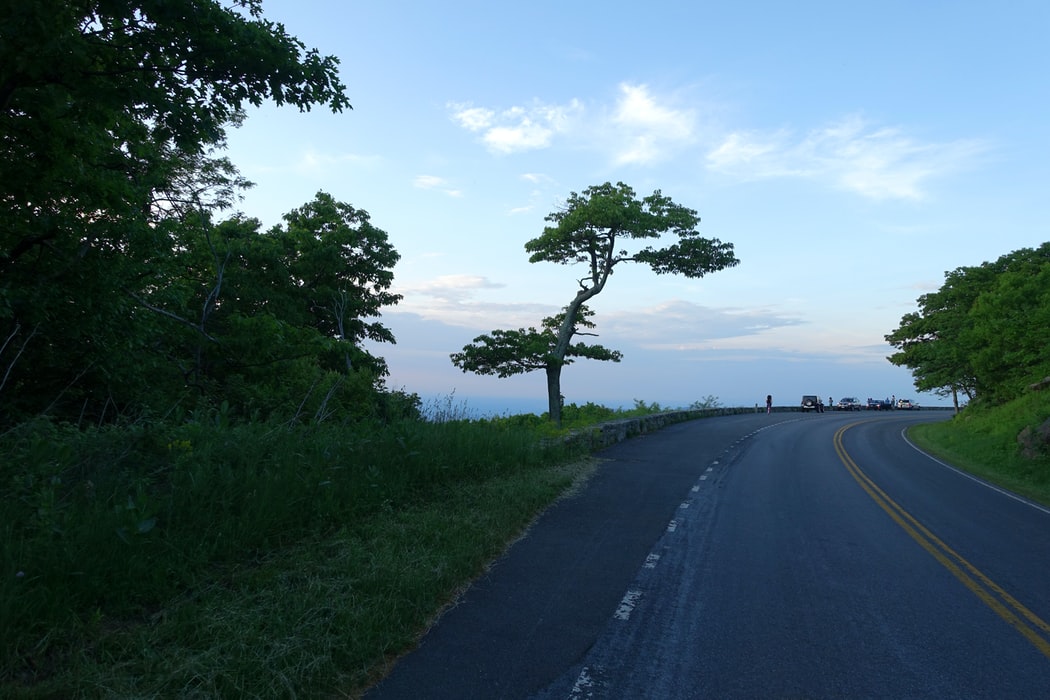 A road in Virginia.