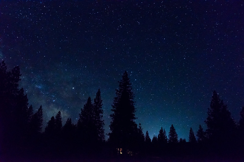 photo displays trees and stars at night