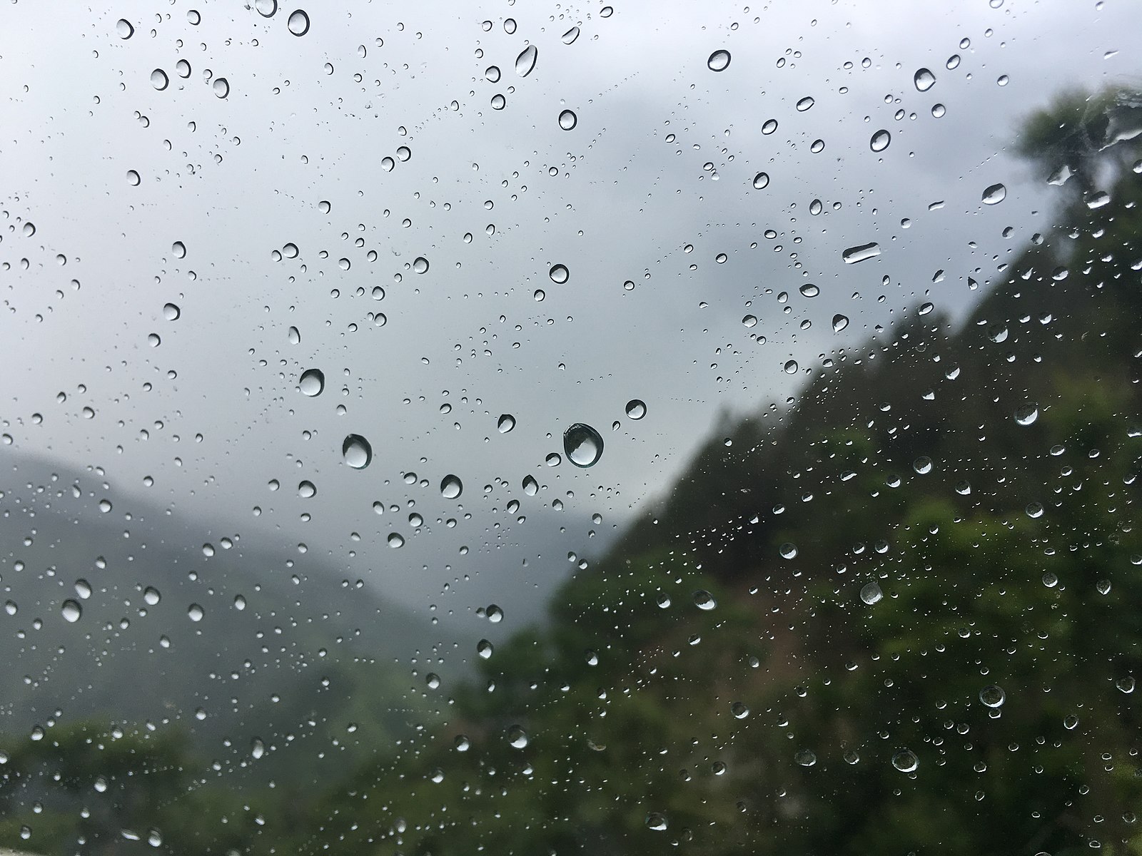 photo of raindrops on car window