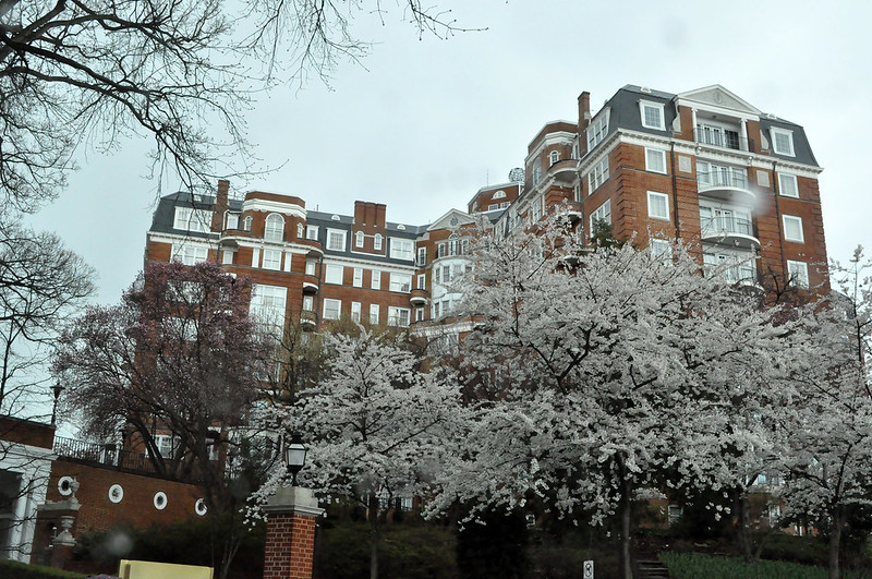 Photo shows a brown hotel with cherry blossoms on a cloudy day