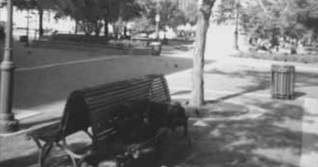 Photo of a homeless person in DC laying on a park bench,