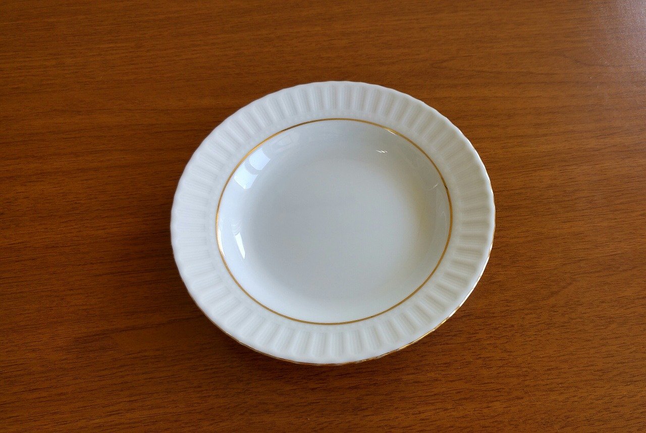 Picture of an empty dinner plate.