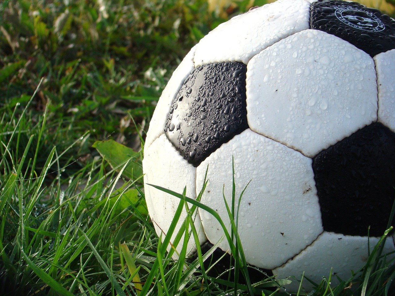 Photo of a soccer ball laying in the grass.