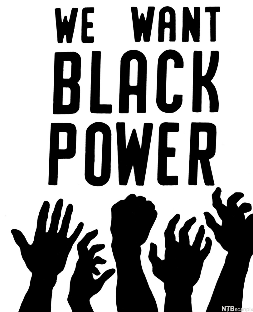 A poster with the words "We Want Black Power" printed on it.