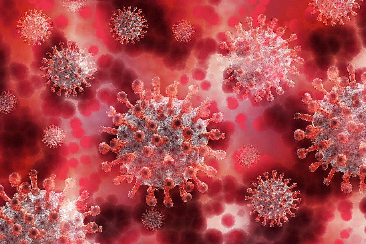 Image depicting what coronavirus looks like.