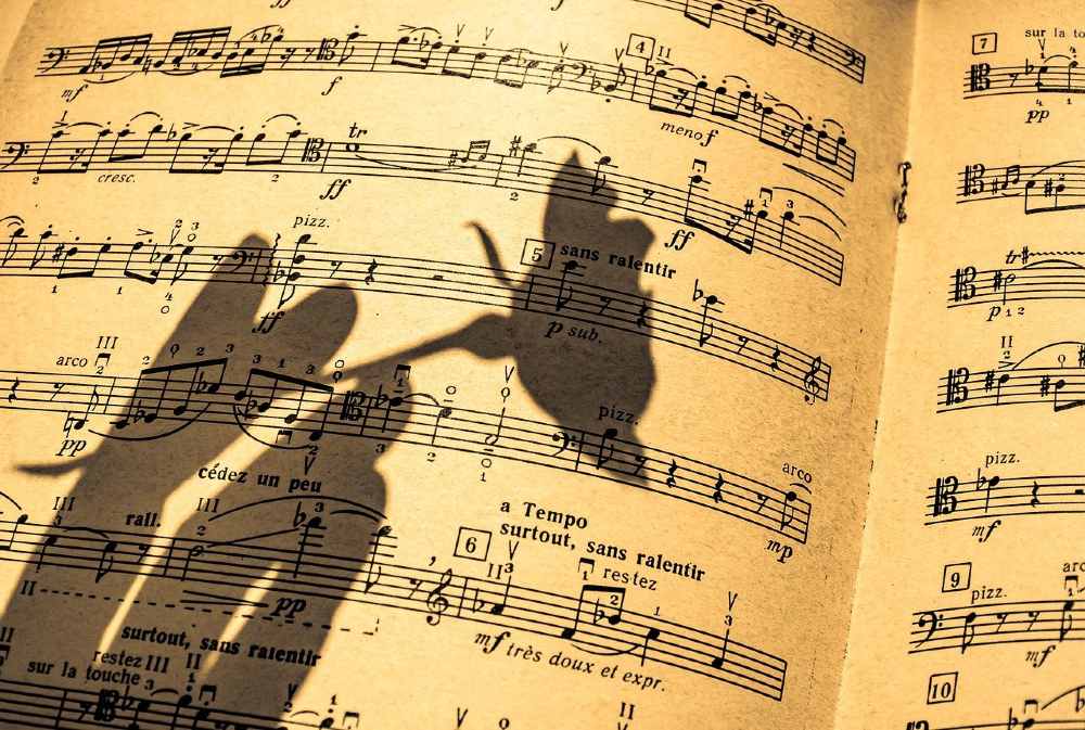 Image of shadowed hand holding a flower above sheet music