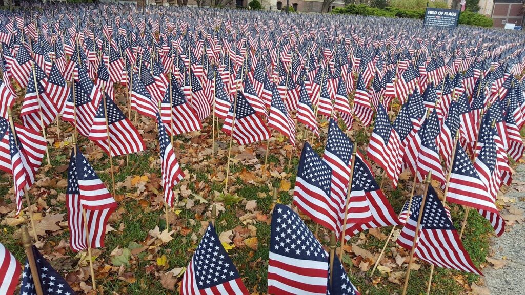 A photo of a field of small American Flags.