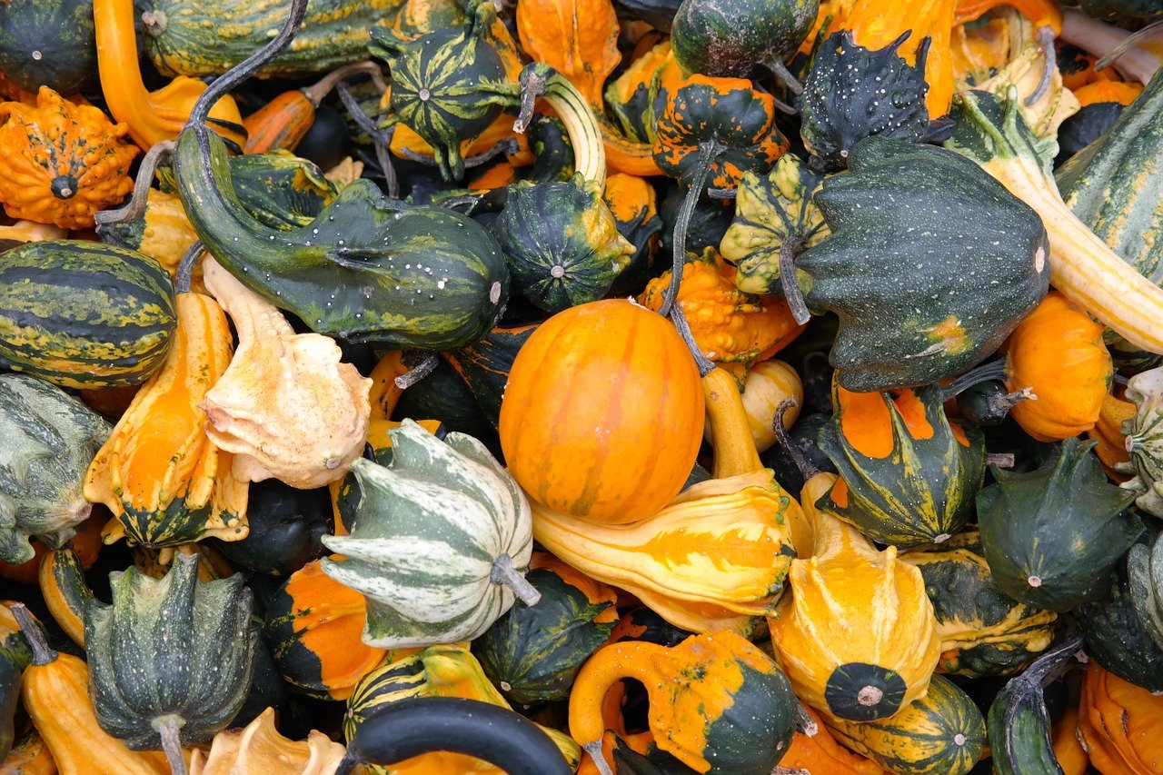 A photo of decorative gourds and pumpkins in a large pile