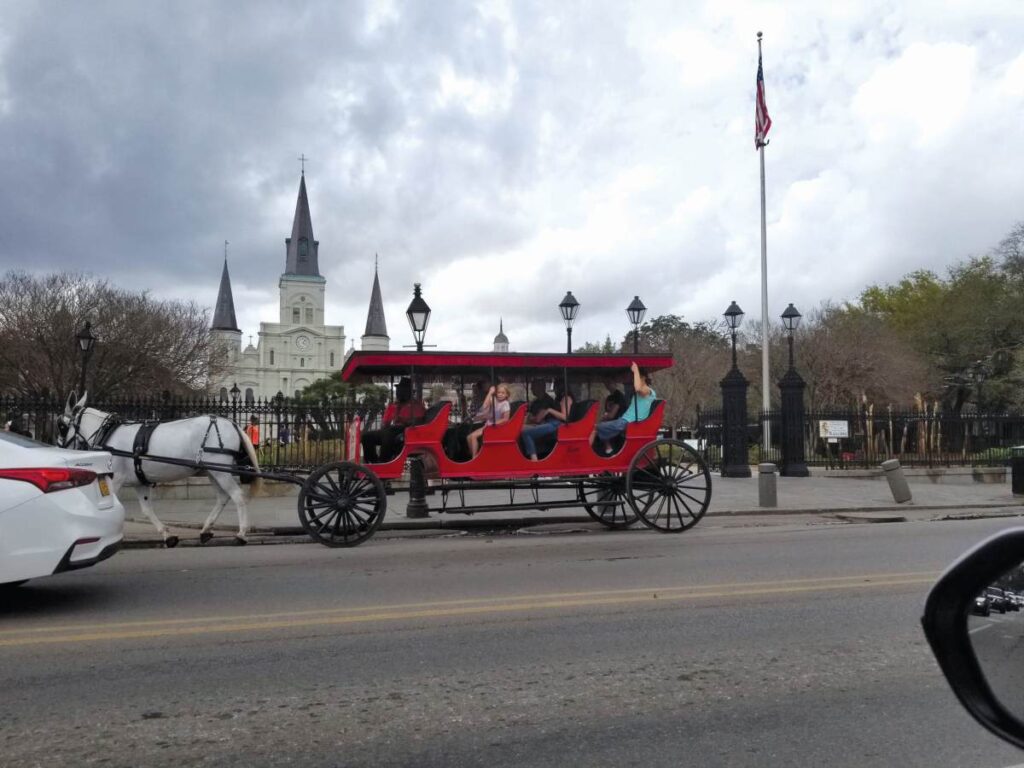 A photo of a horse drawn trolley in New Orleans
