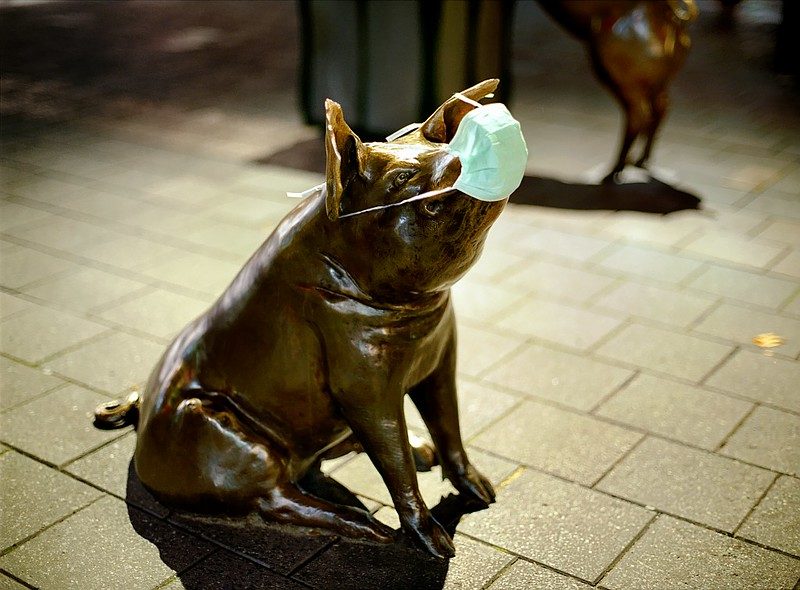 A photo of a statue of a pig with a mask covering the snout and mouth
