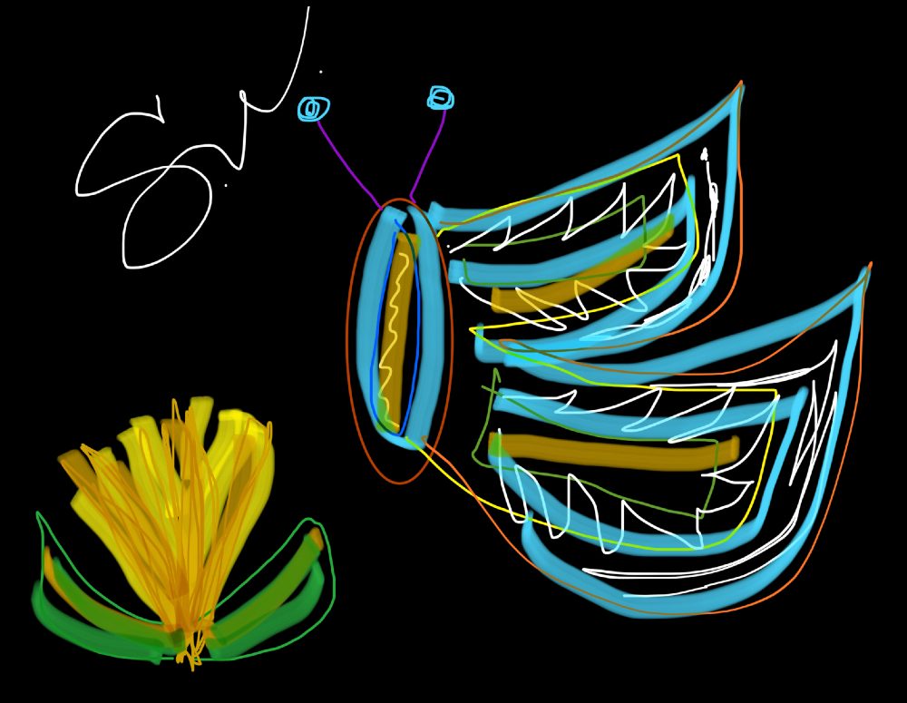 An illustration by Sasha that is on black background with neon colors; a flower and butterfly are depicted