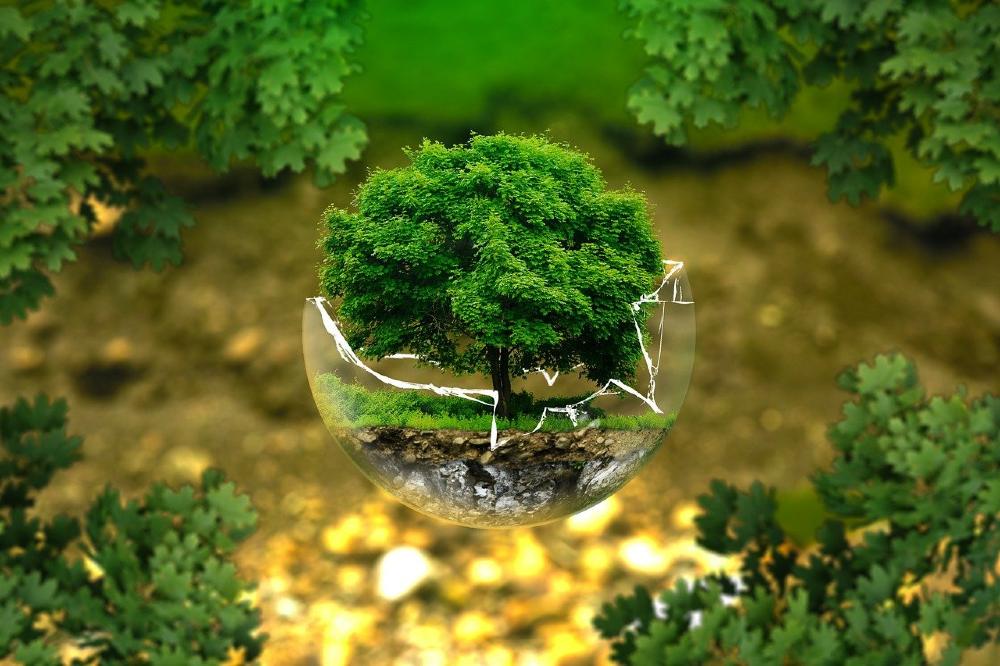 Artistic stylized photo of a tree breaking out of a glass sphere