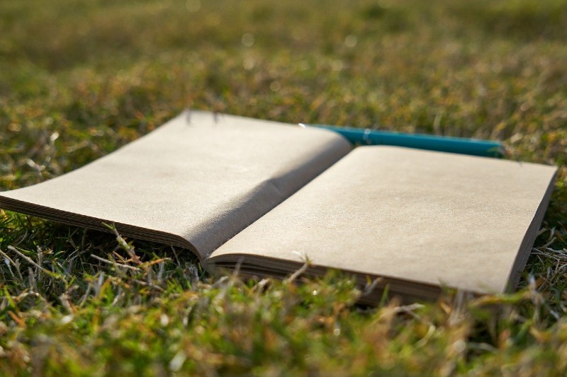 A notebook and a pen sit in a field of grass