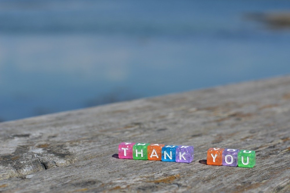 Photo of small dice spelling out the word "Thank You"