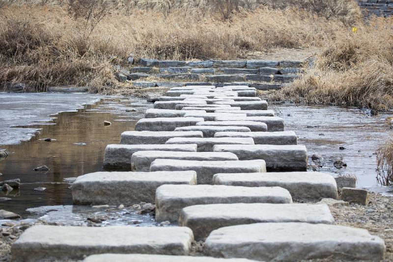 Photo of stepping stones arranged across a river or creek