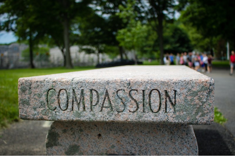 Photo of a bench with the word "compassion" etched into the side
