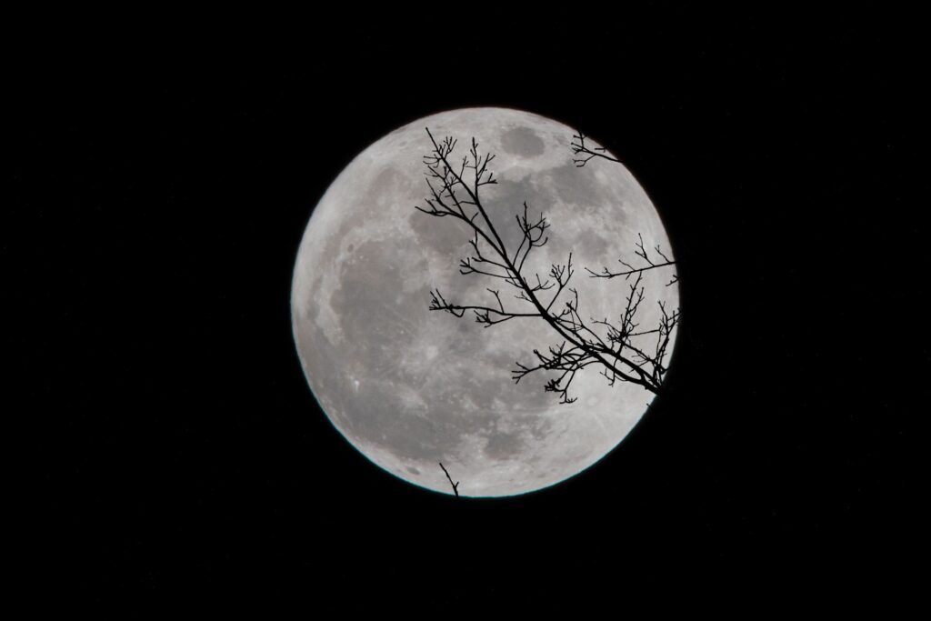 Photo of the moon with a silhouette of branches visible.