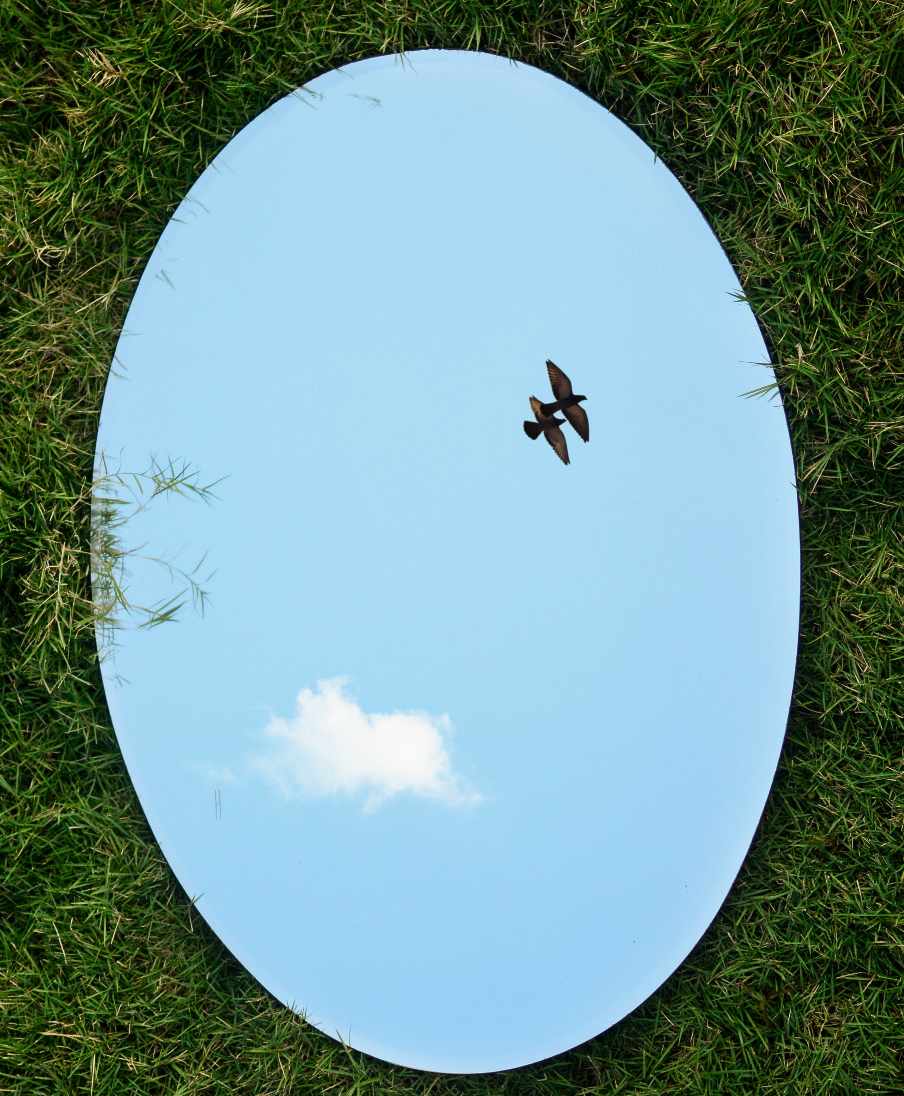 Photo of a mirror reflecting a blue sky and two birds flying.
