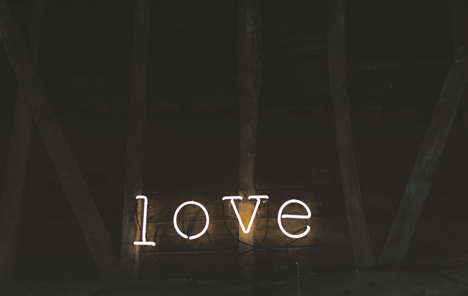 Photo of neon letters that are lit to spell out LOVE.